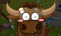 Animal Rescue Zoo