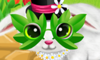 Paws to Beauty 6: Easter