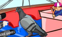 Pigeon 2