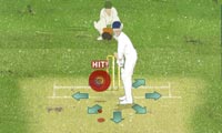 The Ashes