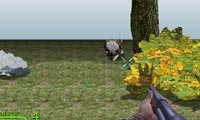 Turkey Shootout 3D