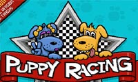 Puppy Racers
