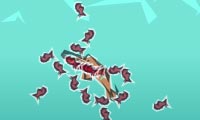 Wild n Free EX