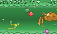 Plankton Life 2